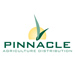 Pinnacle Business Card